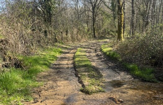 chemin